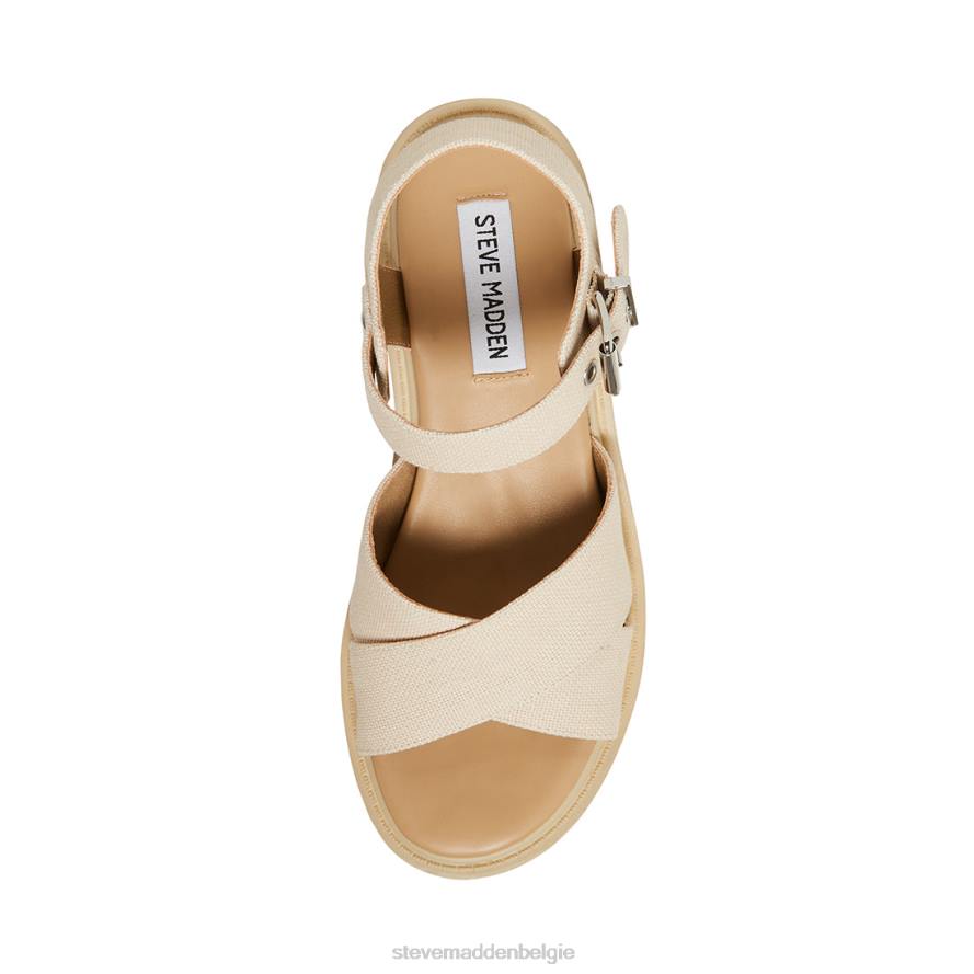 Steve Madden schoenen vrouwen Talvi bot 2D2L48