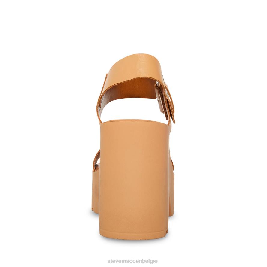 Steve Madden schoenen vrouwen Vesta bruin leer 2D2L74