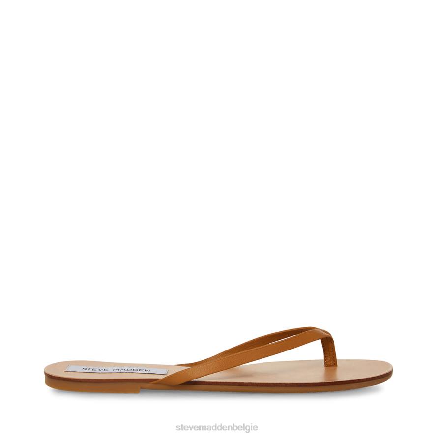 Steve Madden schoenen vrouwen afbeelding bruin leer 2D2L172