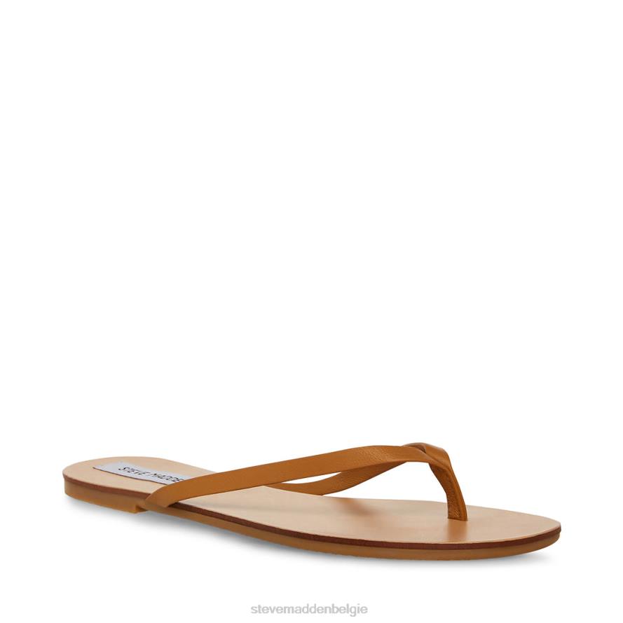 Steve Madden schoenen vrouwen afbeelding bruin leer 2D2L172