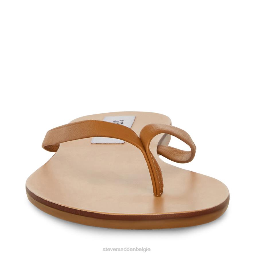 Steve Madden schoenen vrouwen afbeelding bruin leer 2D2L172