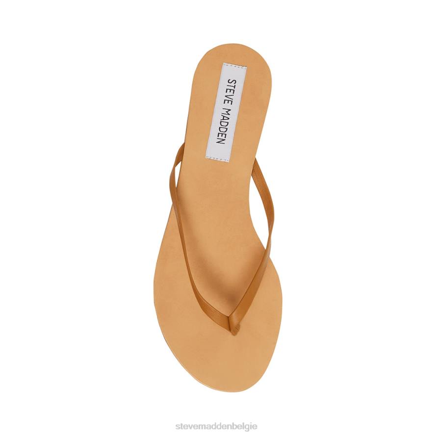 Steve Madden schoenen vrouwen afbeelding bruin leer 2D2L172