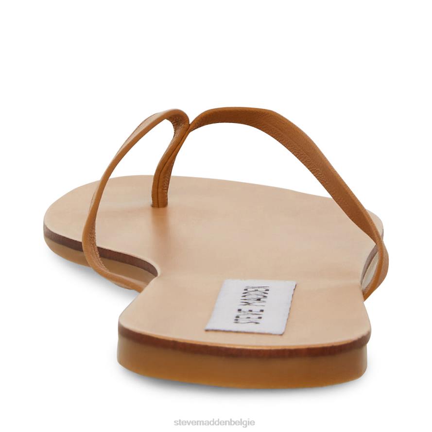 Steve Madden schoenen vrouwen afbeelding bruin leer 2D2L172
