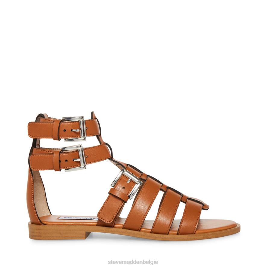 Steve Madden schoenen vrouwen bruno bruinen 2D2L105