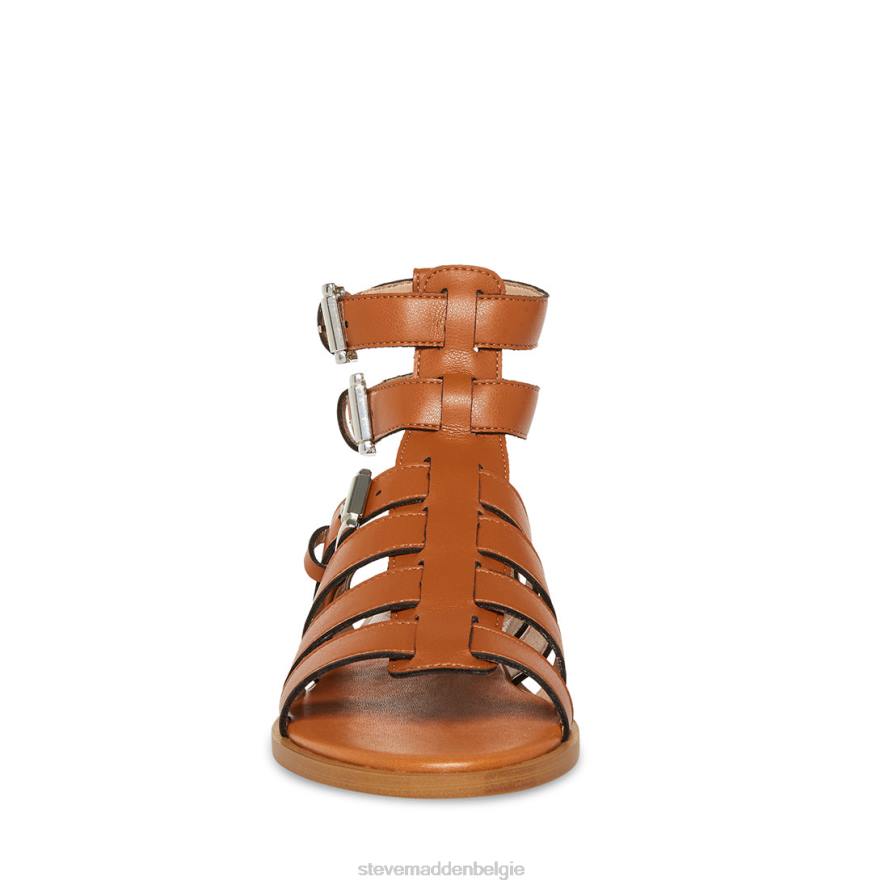 Steve Madden schoenen vrouwen bruno bruinen 2D2L105