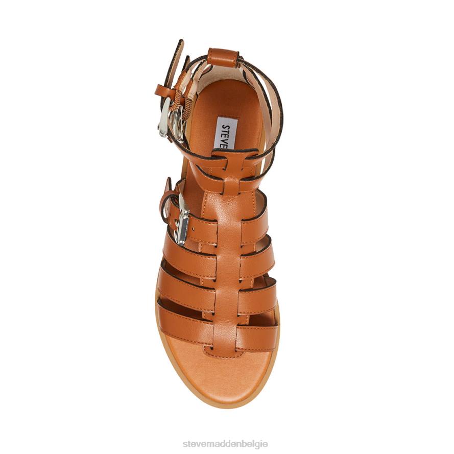 Steve Madden schoenen vrouwen bruno bruinen 2D2L105