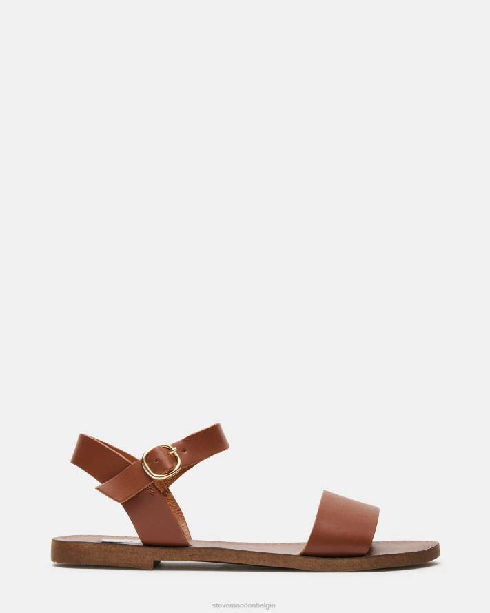 Steve Madden schoenen vrouwen dondi bruin leer 2D2L46