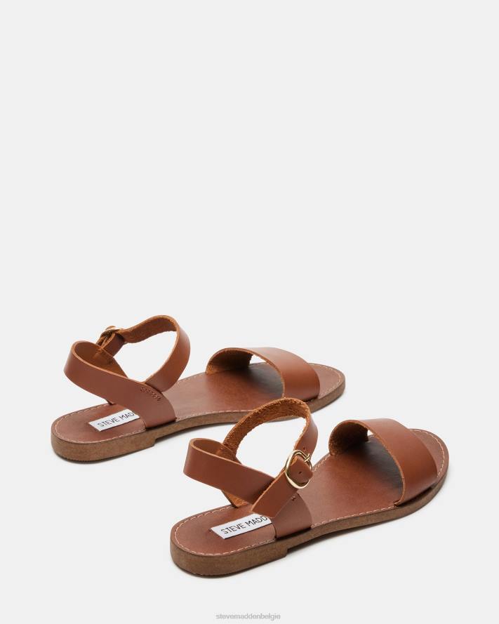 Steve Madden schoenen vrouwen dondi bruin leer 2D2L46