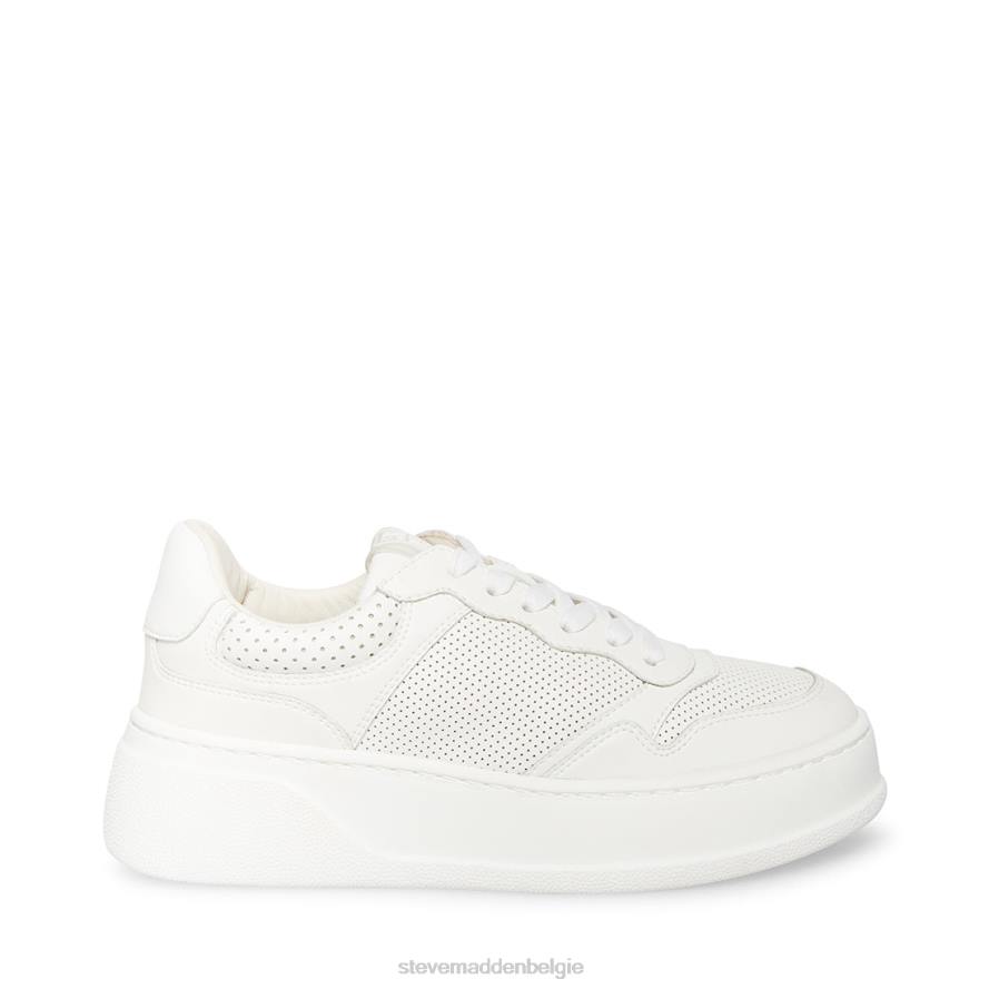Steve Madden schoenen vrouwen Daley wit 2D2L347