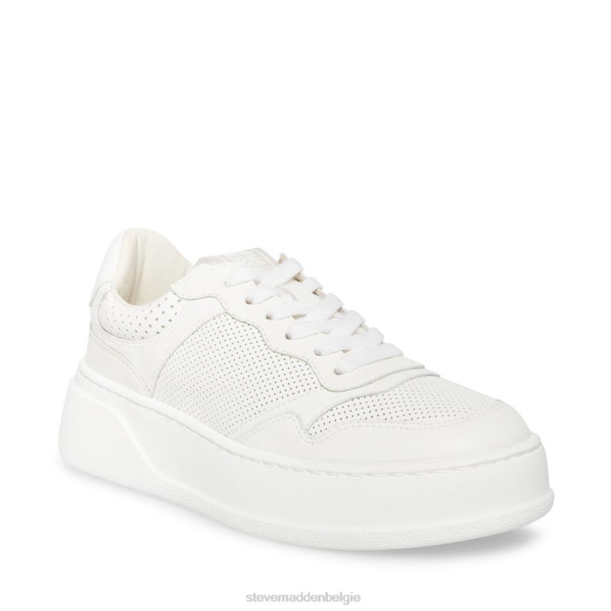 Steve Madden schoenen vrouwen Daley wit 2D2L347
