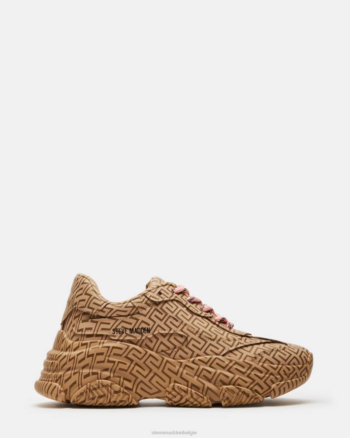 Steve Madden schoenen vrouwen bezit bruin multi 2D2L268