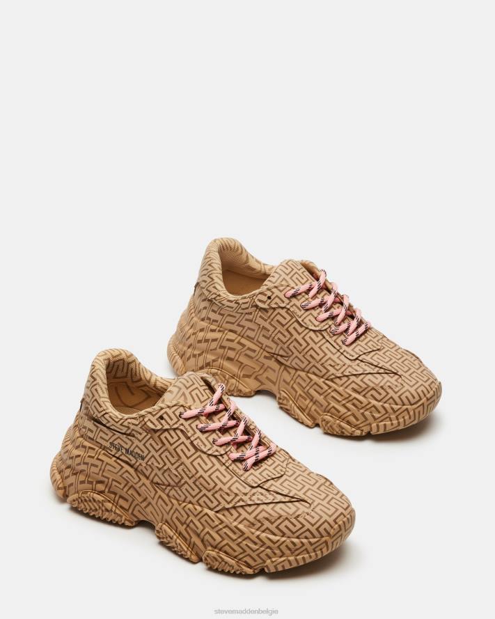 Steve Madden schoenen vrouwen bezit bruin multi 2D2L268