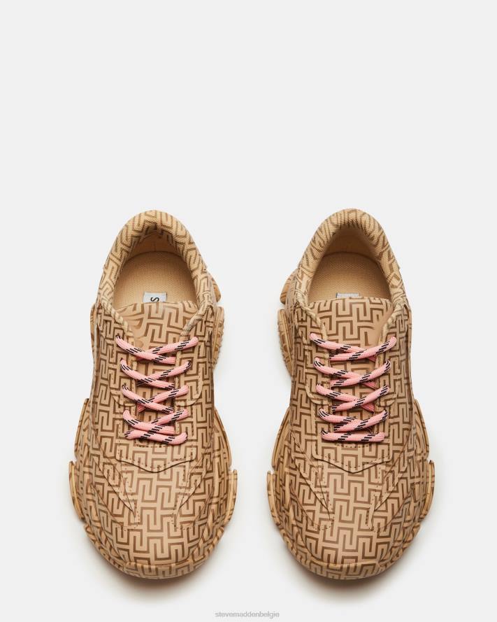 Steve Madden schoenen vrouwen bezit bruin multi 2D2L268