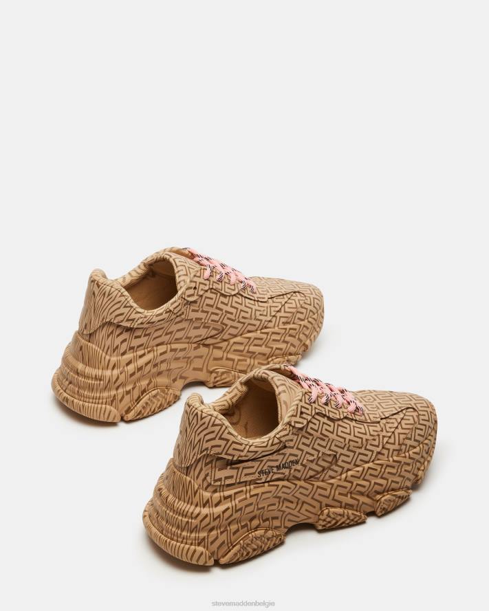 Steve Madden schoenen vrouwen bezit bruin multi 2D2L268