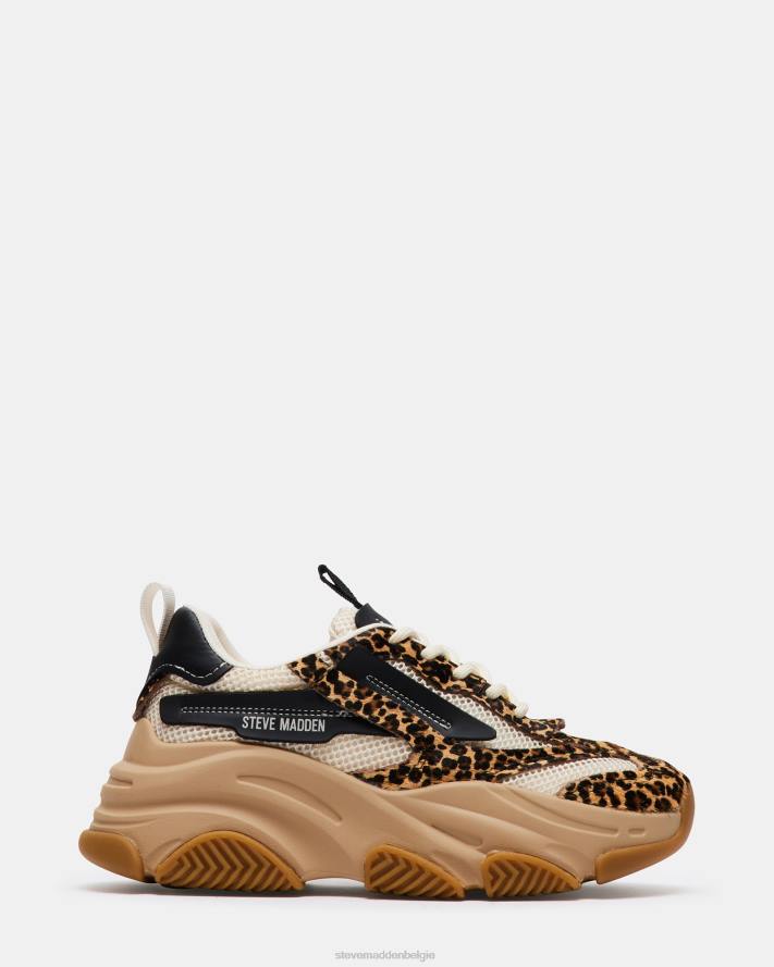 Steve Madden schoenen vrouwen bezit luipaard multi 2D2L252