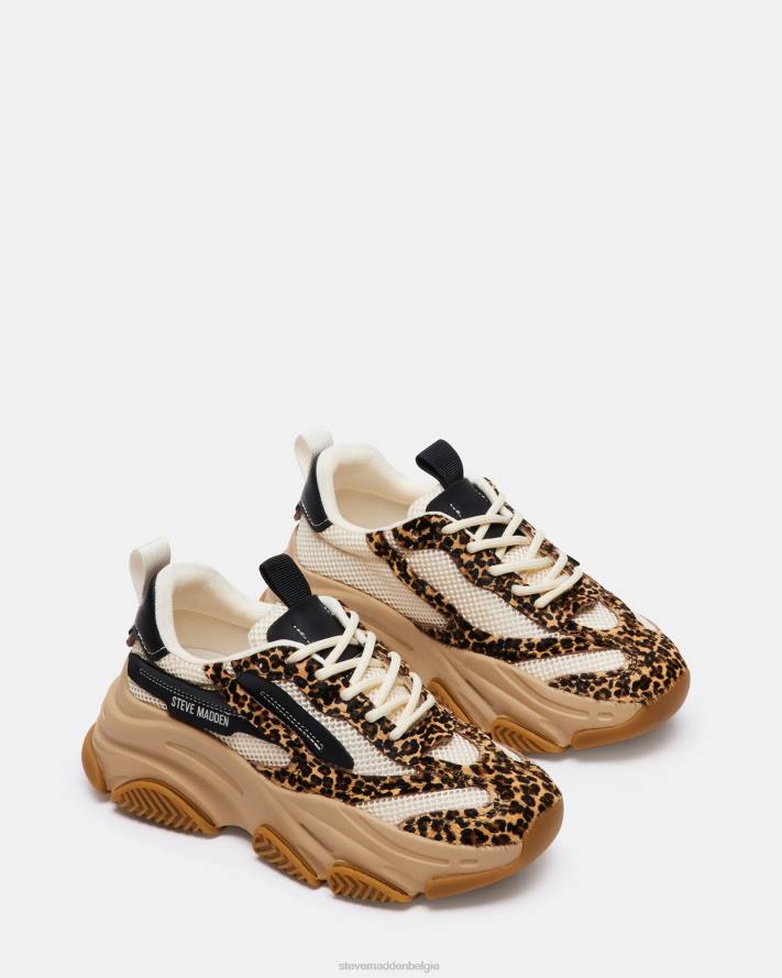 Steve Madden schoenen vrouwen bezit luipaard multi 2D2L252