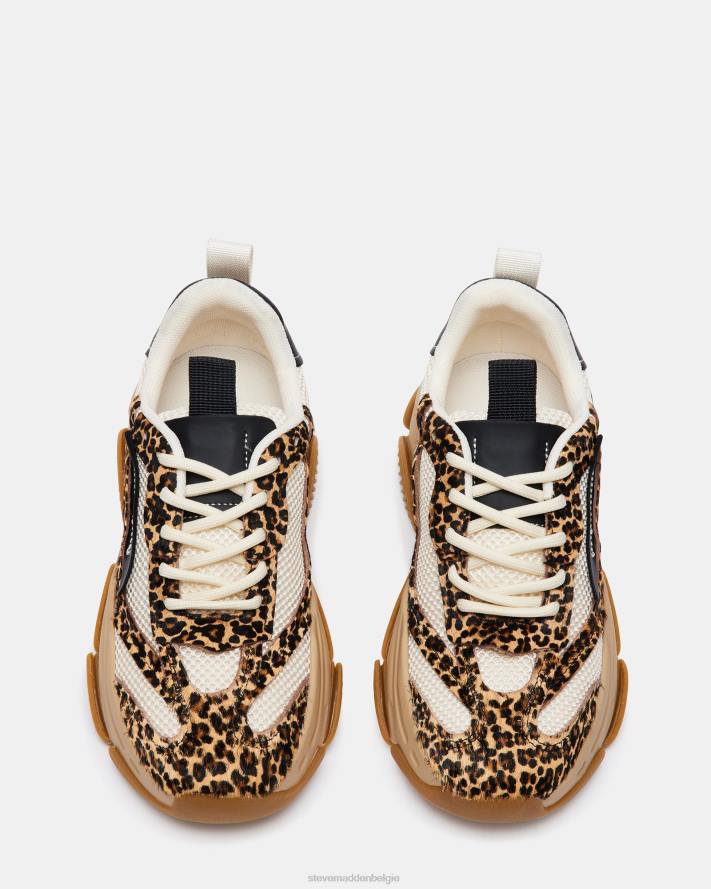 Steve Madden schoenen vrouwen bezit luipaard multi 2D2L252