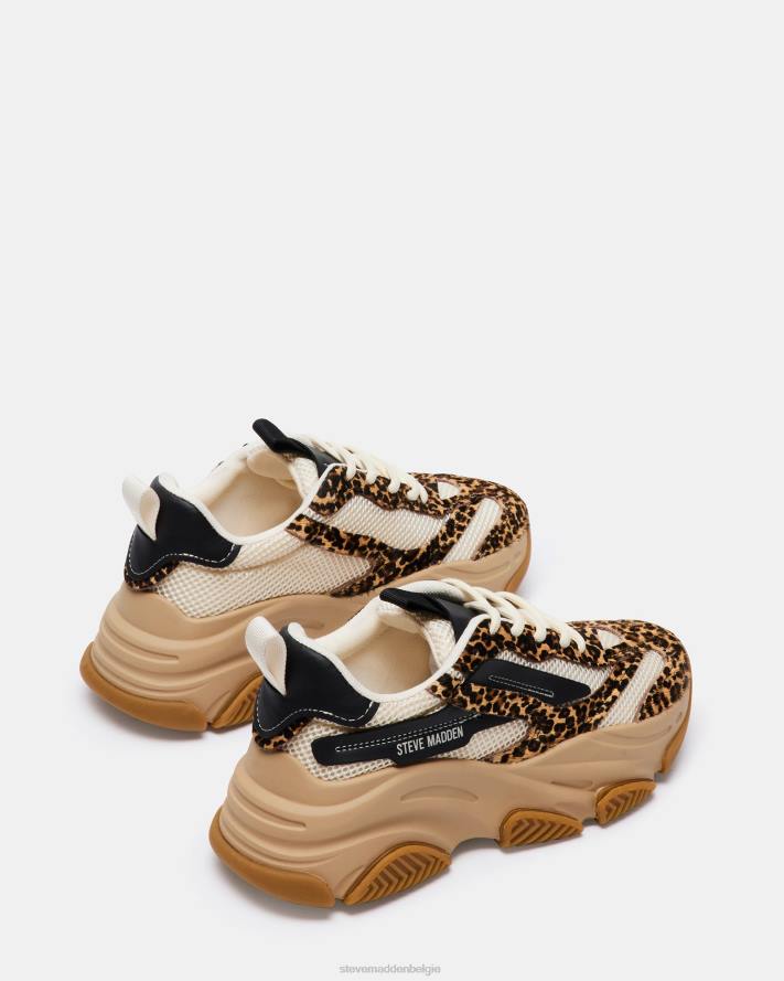 Steve Madden schoenen vrouwen bezit luipaard multi 2D2L252