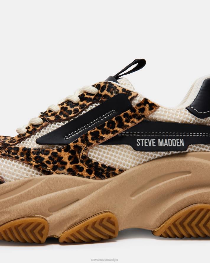 Steve Madden schoenen vrouwen bezit luipaard multi 2D2L252