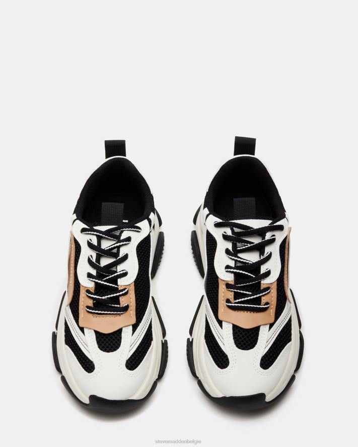 Steve Madden schoenen vrouwen bezit zwart bruin 2D2L231