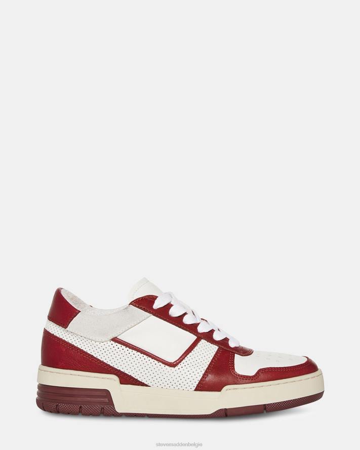 Steve Madden schoenen vrouwen deni bordeaux multi 2D2L233