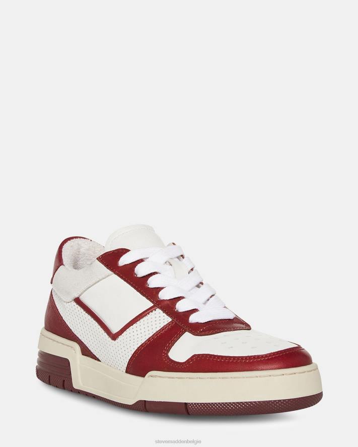 Steve Madden schoenen vrouwen deni bordeaux multi 2D2L233