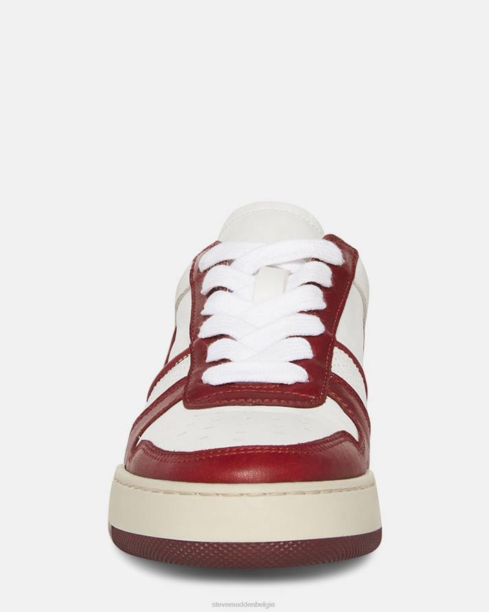 Steve Madden schoenen vrouwen deni bordeaux multi 2D2L233