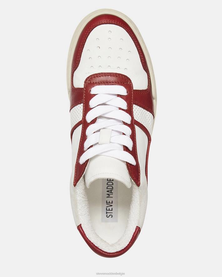 Steve Madden schoenen vrouwen deni bordeaux multi 2D2L233