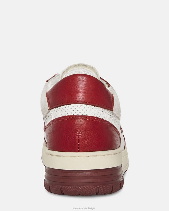 Steve Madden schoenen vrouwen deni bordeaux multi 2D2L233