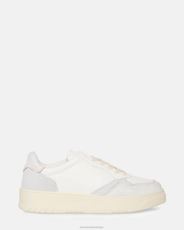 Steve Madden schoenen vrouwen phips wit 2D2L293