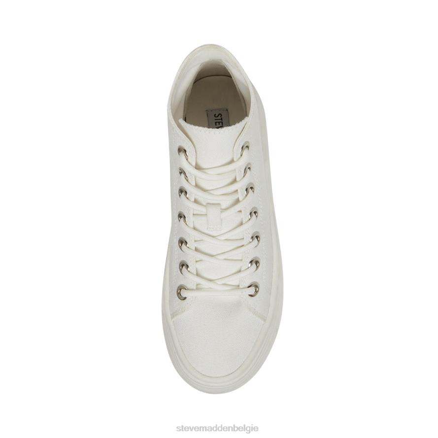 Steve Madden schoenen vrouwen reusachtig wit 2D2L270