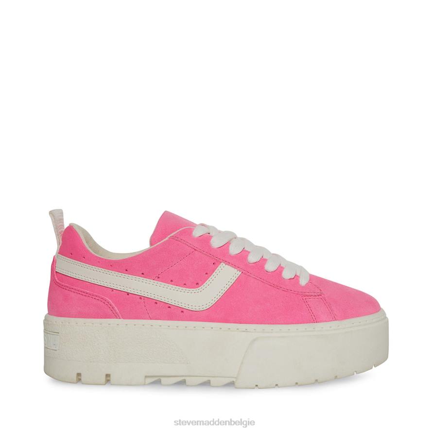 Steve Madden schoenen vrouwen rorri roze suède 2D2L316