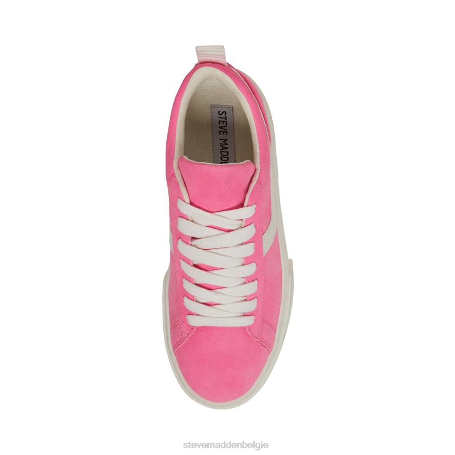 Steve Madden schoenen vrouwen rorri roze suède 2D2L316